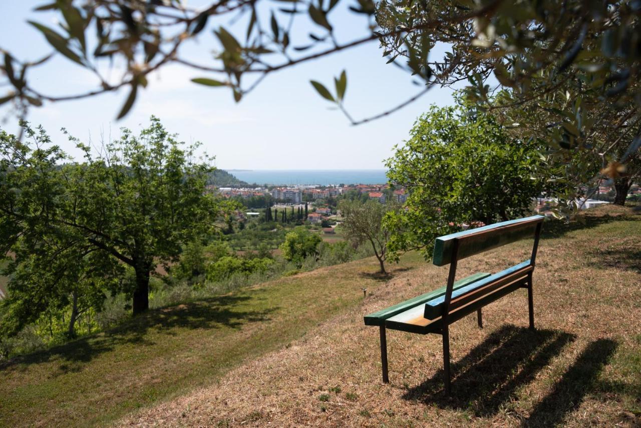 Istrian Casa Ladonia By Locap Group Villa ปอร์โตรอซ ภายนอก รูปภาพ